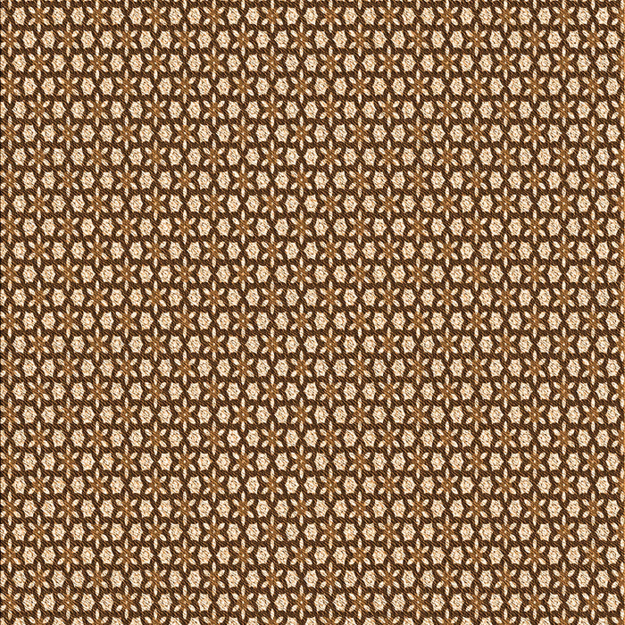 Machine Washable Transitional Red Brown Rug, wshpat1621org