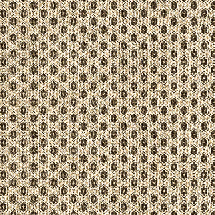 Machine Washable Transitional Red Brown Rug, wshpat1622brn