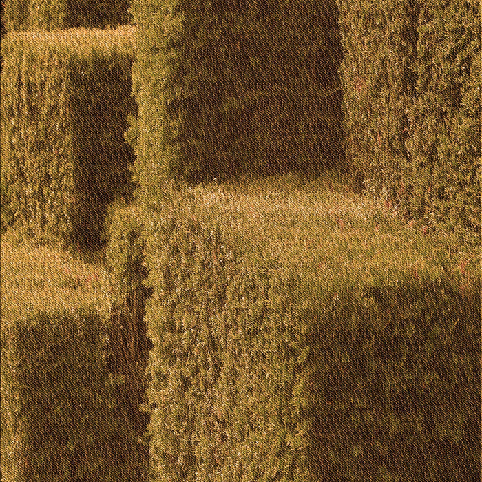 Machine Washable Transitional Night Red Rug, wshpat1624org