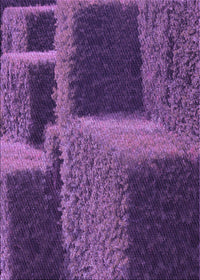 Machine Washable Transitional Purple Rug, wshpat1624pur