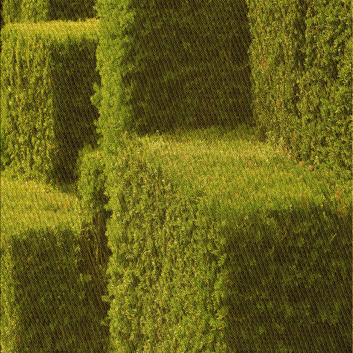 Machine Washable Transitional Chocolate Brown Rug, wshpat1624yw