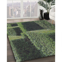 Patterned Green Novelty Rug, pat1624