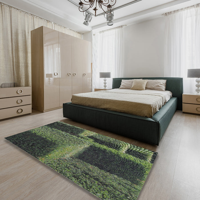 Patterned Green Novelty Rug in a Bedroom, pat1624