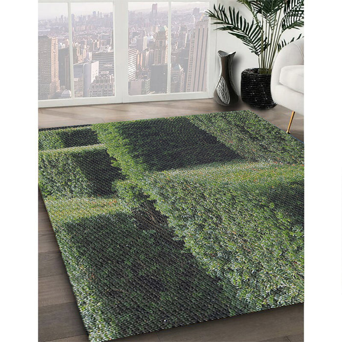 Patterned Green Novelty Rug in Family Room, pat1624