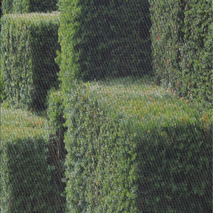 Machine Washable Transitional Green Rug, wshpat1624