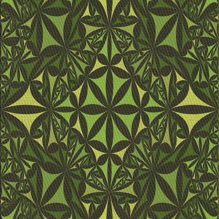 Machine Washable Transitional Dark Forest Green Rug, wshpat1625brn