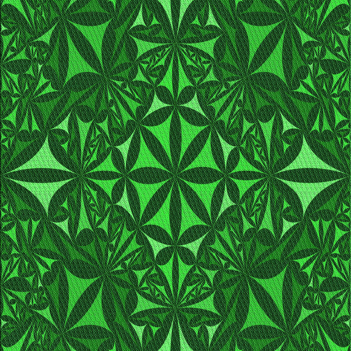Machine Washable Transitional Deep Emerald Green Rug, wshpat1625grn