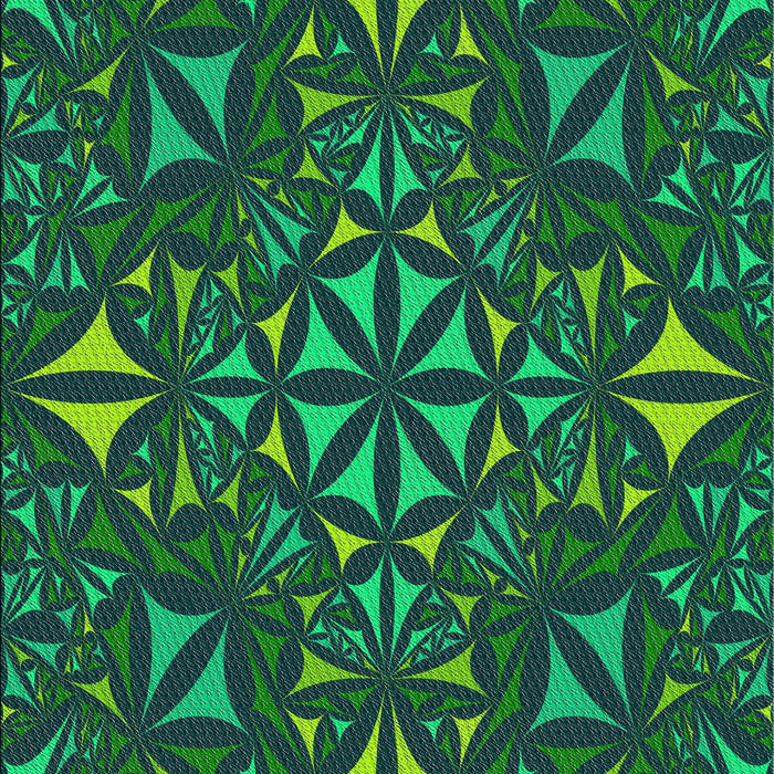 Machine Washable Transitional Lime Green Rug, wshpat1625