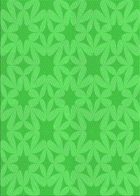 Machine Washable Transitional Lime Green Rug, wshpat1627grn