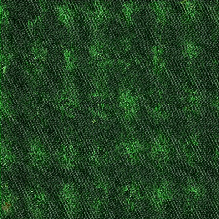 Round Machine Washable Transitional Green Rug, wshpat1629grn