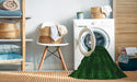 Machine Washable Transitional Green Rug in a Washing Machine, wshpat1629grn