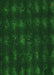 Machine Washable Transitional Green Rug, wshpat1629grn