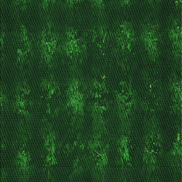 Machine Washable Transitional Green Rug, wshpat1629grn