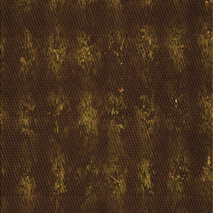 Machine Washable Transitional Dark Bronze Brown Rug, wshpat1629org