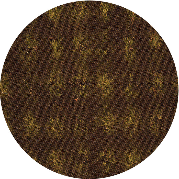 Square Machine Washable Transitional Dark Bronze Brown Rug in a Living Room, wshpat1629org