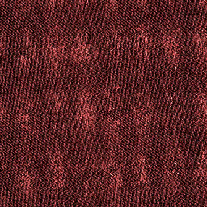 Machine Washable Transitional Red Rug, wshpat1629rd