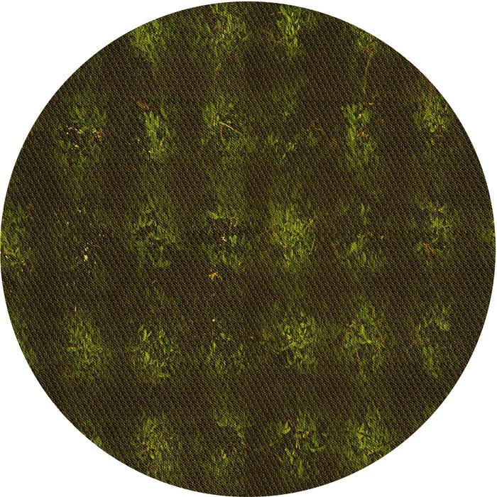 Square Machine Washable Transitional Dark Bronze Brown Rug in a Living Room, wshpat1629yw