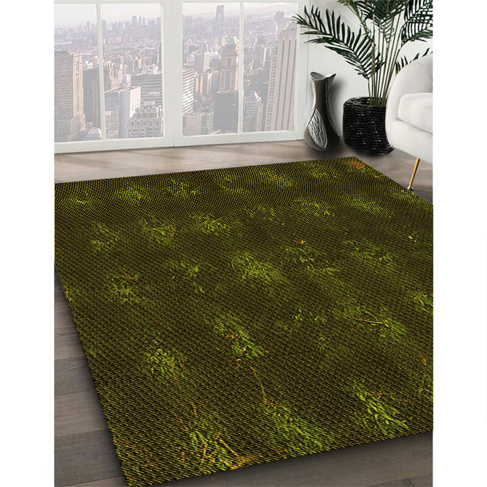 Machine Washable Transitional Dark Bronze Brown Rug in a Family Room, wshpat1629yw