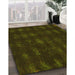 Machine Washable Transitional Dark Bronze Brown Rug in a Family Room, wshpat1629yw