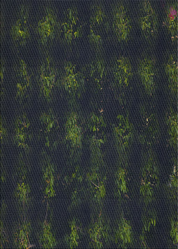 Patterned Black Abstract Machine Washable Rug, wshpat1629