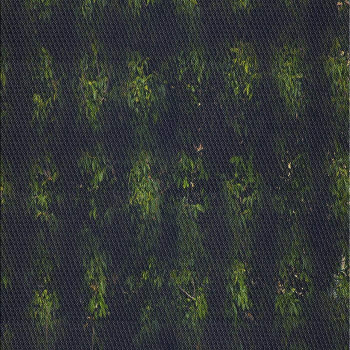 Patterned Black Abstract Machine Washable Rug, wshpat1629
