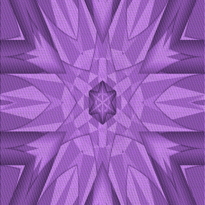 Machine Washable Transitional Purple Rug, wshpat163pur