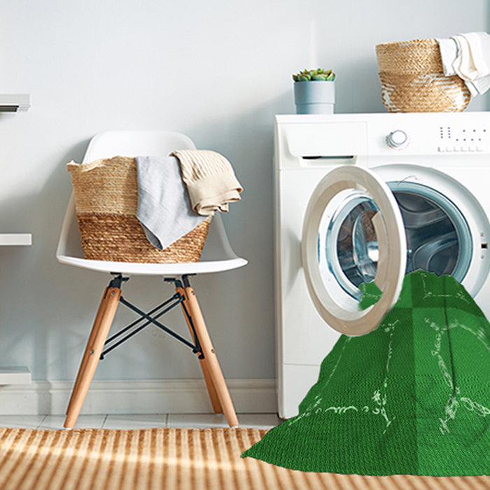 Machine Washable Transitional Green Rug in a Washing Machine, wshpat1631grn