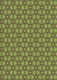 Machine Washable Transitional Pistachio Green Rug, wshpat1635brn