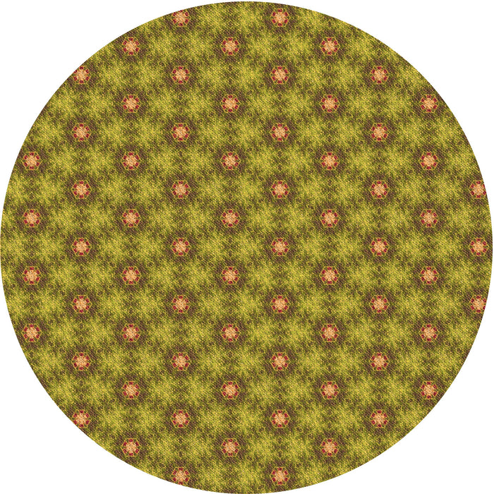 Square Machine Washable Transitional Dark Bronze Brown Rug in a Living Room, wshpat1635org