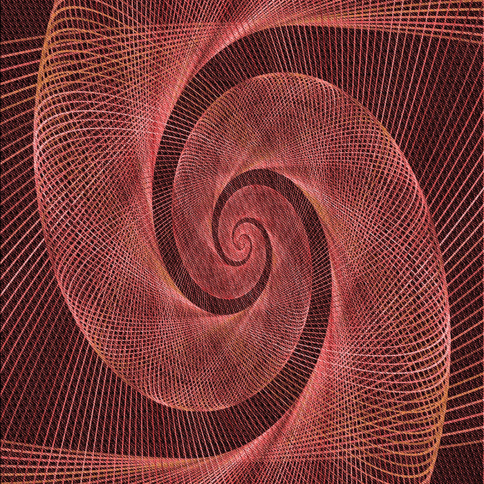 Machine Washable Transitional Red Rug, wshpat1639rd