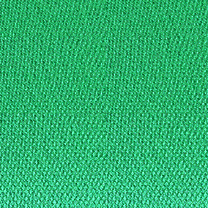 Patterned Spring Green Rug, pat1641lblu