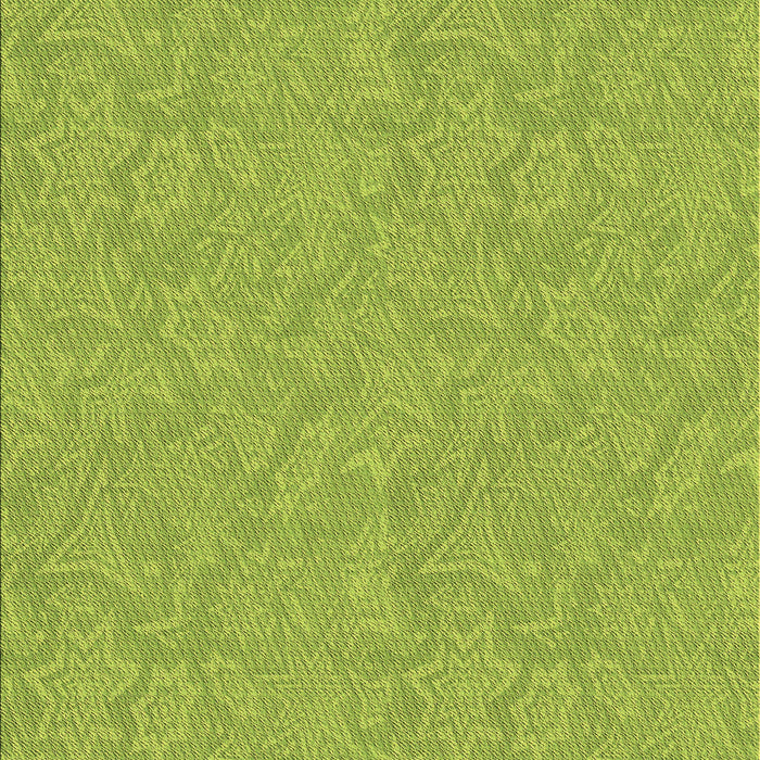Machine Washable Transitional Green Rug, wshpat1643brn