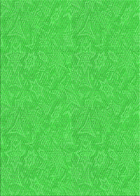 Machine Washable Transitional Lime Green Rug, wshpat1643grn