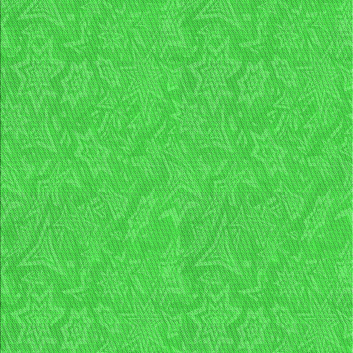 Machine Washable Transitional Lime Green Rug, wshpat1643grn