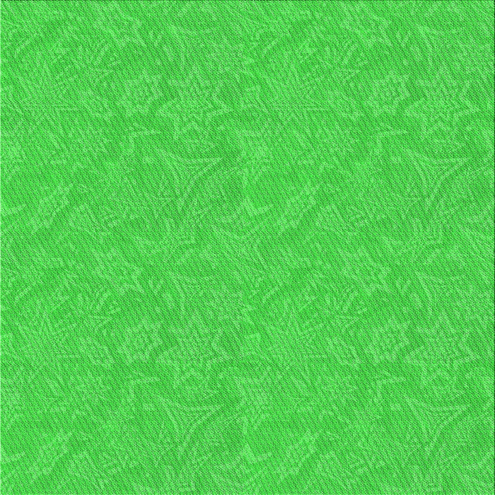 Round Machine Washable Transitional Lime Green Rug, wshpat1643grn