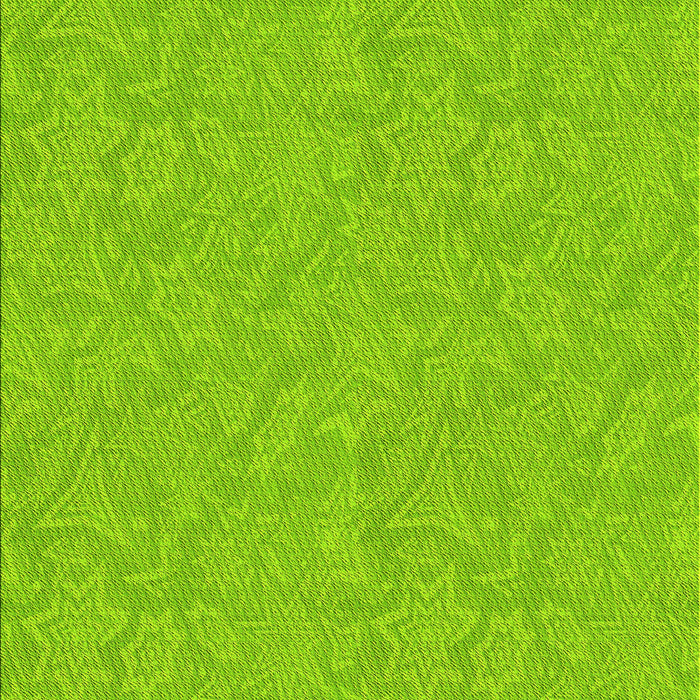 Machine Washable Transitional Green Rug, wshpat1643yw