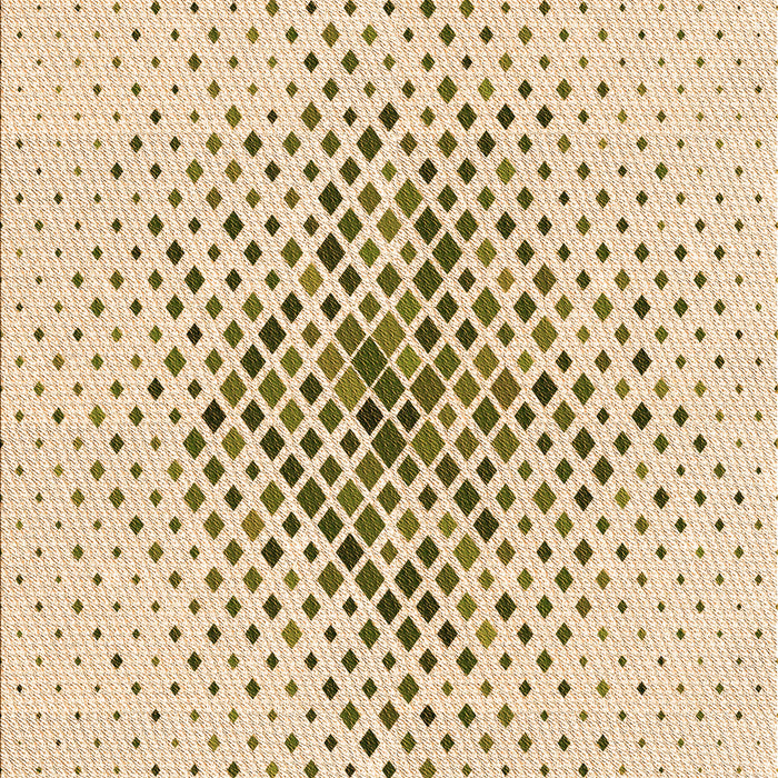 Machine Washable Transitional Bronze Brown Rug, wshpat1644org