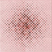Round Machine Washable Transitional Pink Rug, wshpat1644rd