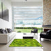 Machine Washable Transitional Dark Lime Green Rug in a Kitchen, wshpat1645yw