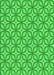 Patterned Neon Green Rug, pat1646grn