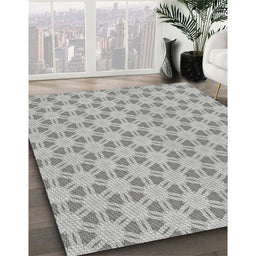 Machine Washable Transitional Silver Gray Rug in a Family Room, wshpat1647