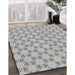 Machine Washable Transitional Silver Gray Rug in a Family Room, wshpat1647