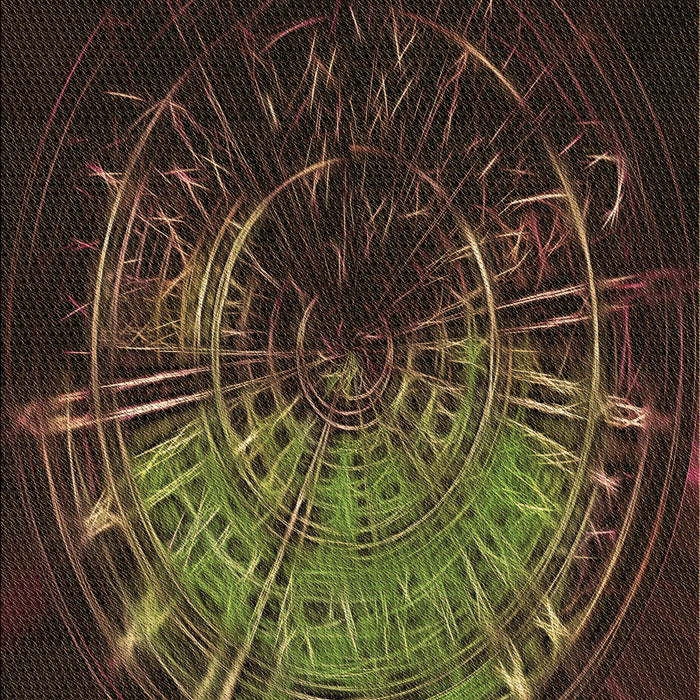 Machine Washable Transitional Oak Brown Rug, wshpat165brn