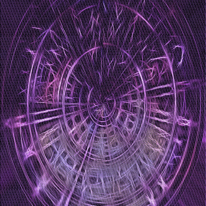 Machine Washable Transitional Dark Purple Rug, wshpat165pur