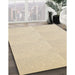 Machine Washable Transitional Vanilla Gold Rug in a Family Room, wshpat1650brn