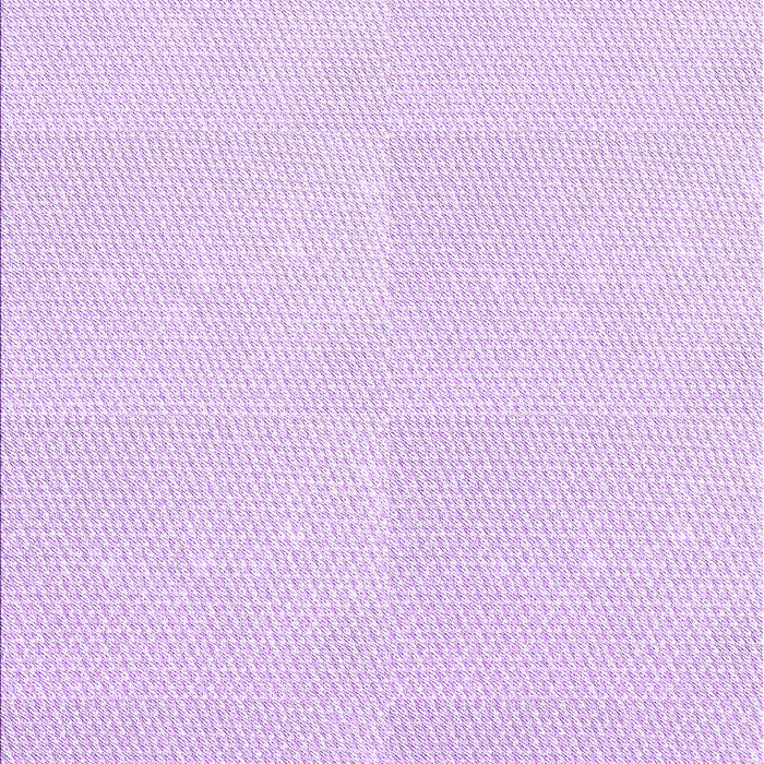 Machine Washable Transitional Violet Purple Rug, wshpat1650pur