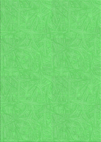 Machine Washable Transitional Neon Green Rug, wshpat1652grn