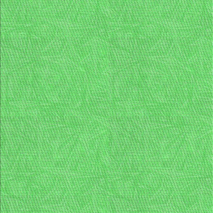 Machine Washable Transitional Neon Green Rug, wshpat1652grn