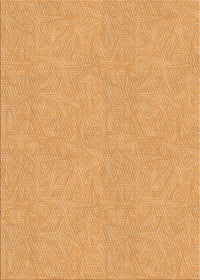 Machine Washable Transitional Orange Rug, wshpat1652org