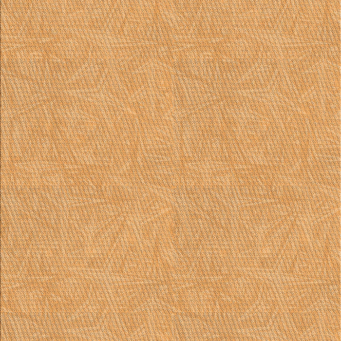 Machine Washable Transitional Orange Rug, wshpat1652org